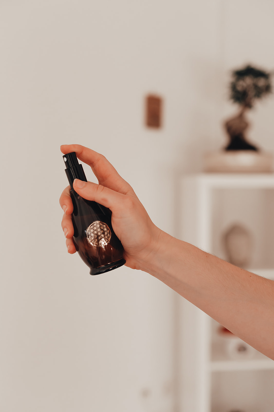 Auraspray Schutz Energie